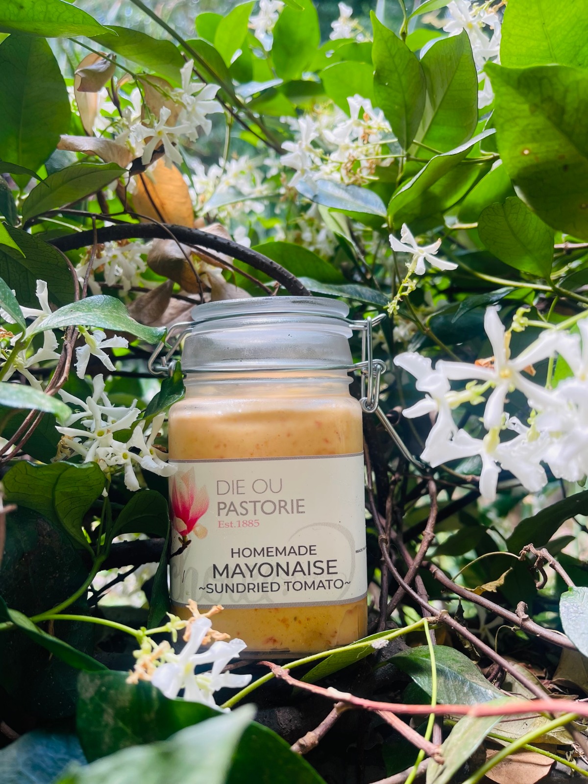 a line up of products offered at the deli